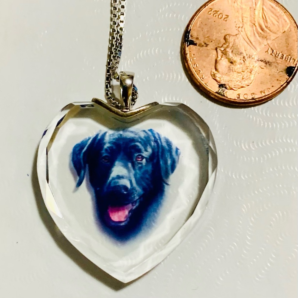 Black Lab pendant with sterling chain
